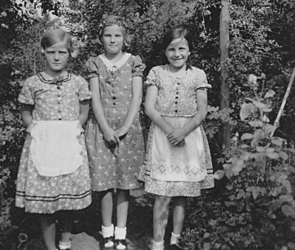 Genealogy Website Template